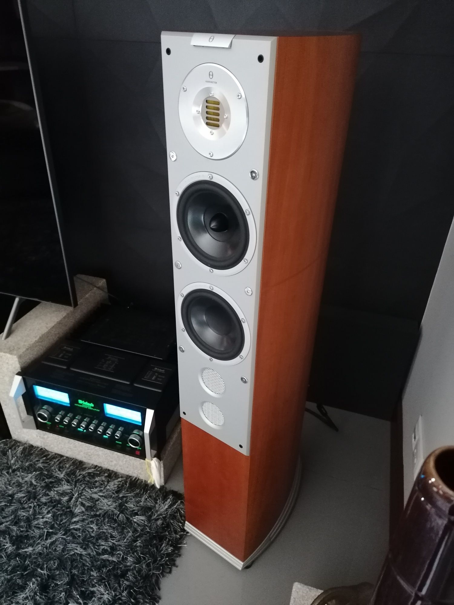 AUDIOVECTOR  Avantgarde Si6  - Estado Irrepreensivel