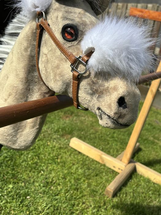 Hobby horse realistic