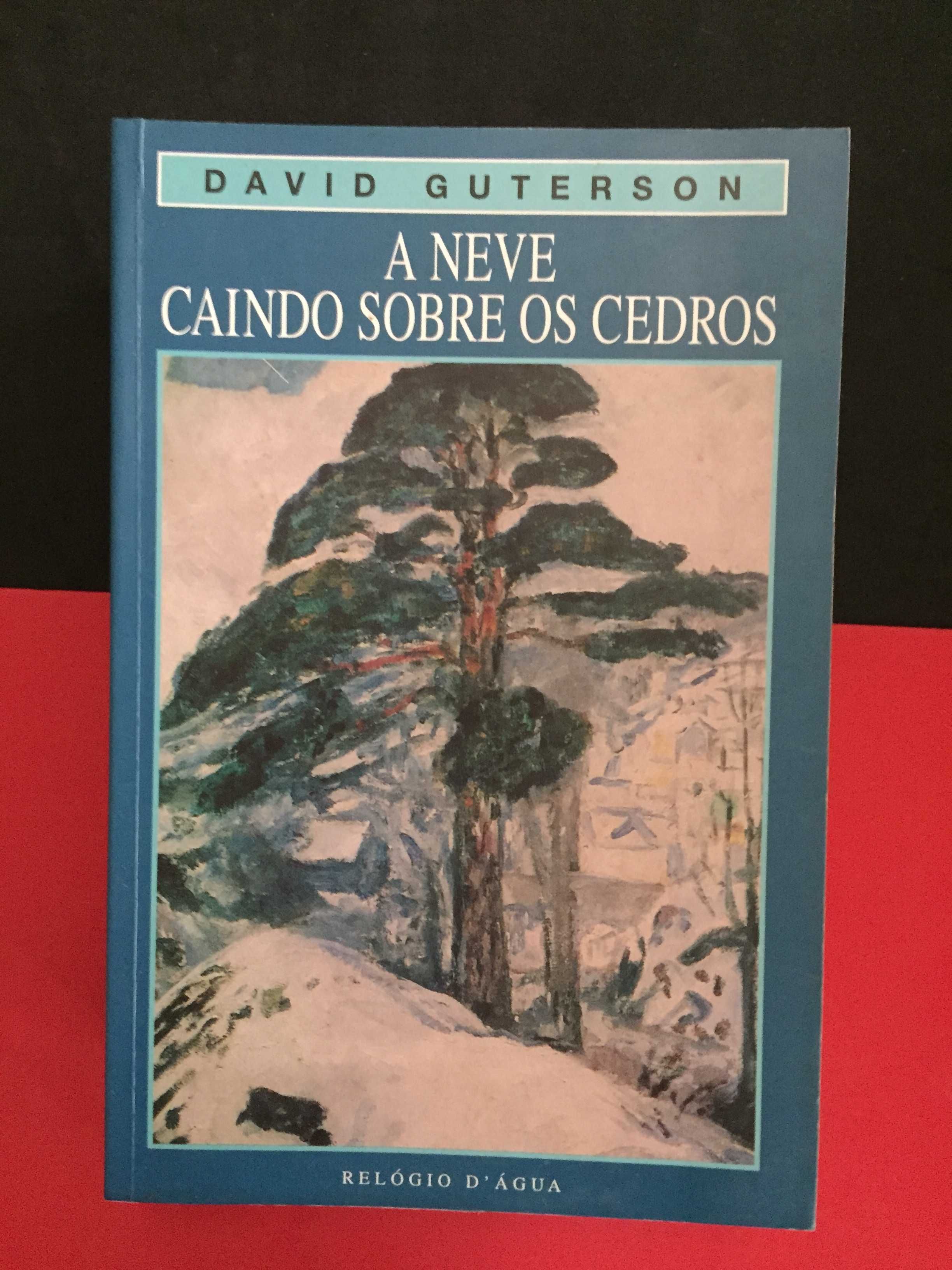 David Guterson - A neve caindo sobre os cedros