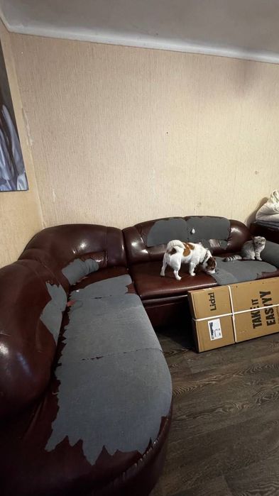 Безкоштовно Диван самовивіз Ірпінь