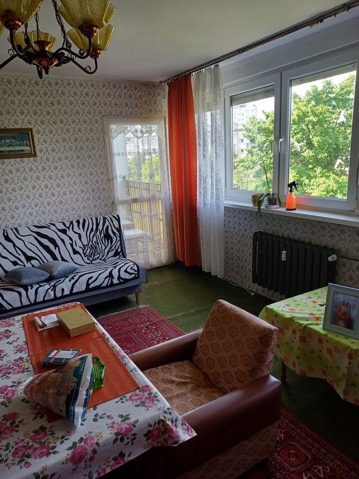 Mieszkanie M4 legnica wynajem