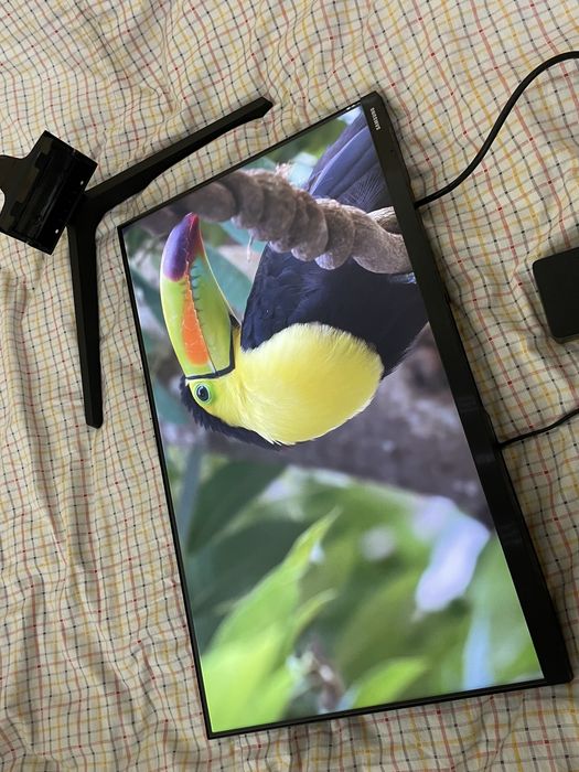 Монитор Samsung 24”