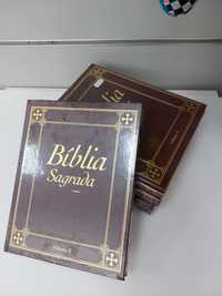 Coleção Biblia Sagrada