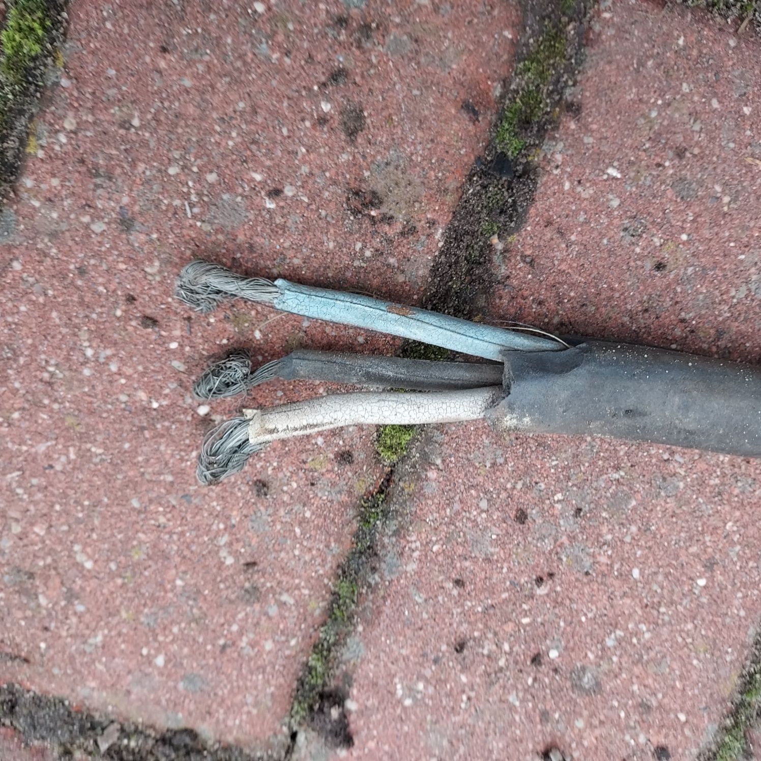 przewód elektryczny III fazowy 3x8mm miedziany