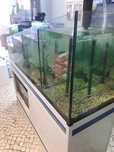 Aquário em cascata da "Aquapime" ideal para pet shops. Oportunidade !