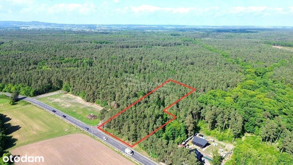 Działka inwestycyjna w doskonałej lokalizacji !