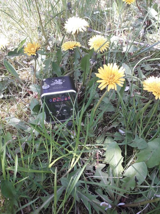 Usypianka dla dzidzia i odpoczynek dla mamy - las-strumyk-jezioro-morz
