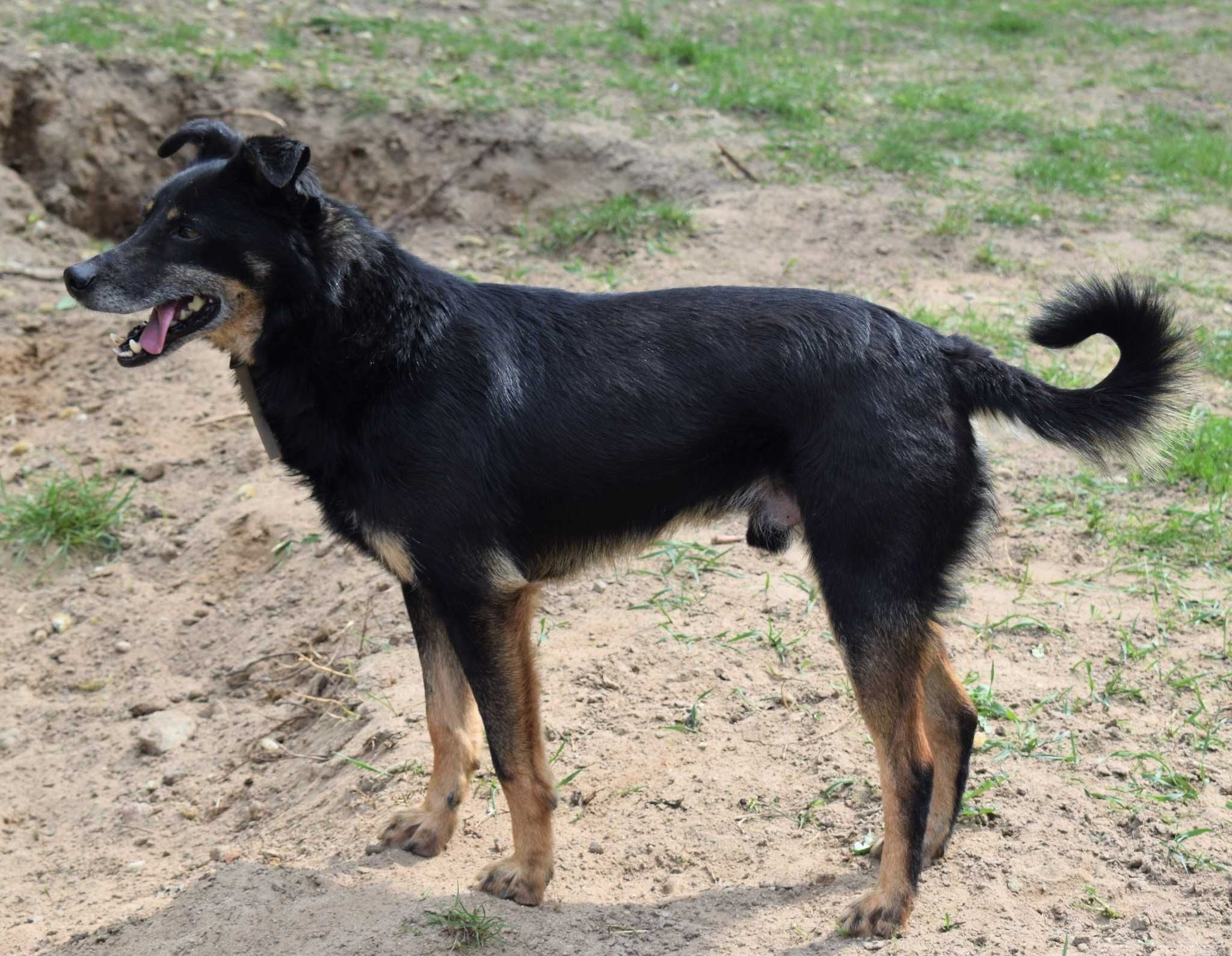 Rubi i Niko - przecież ktoś tam na nich czeka prawda?