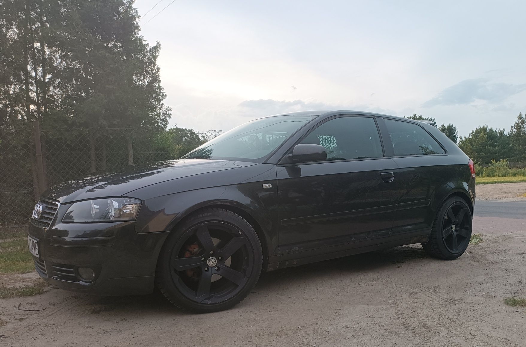 Audi a3 8p 1.9 TDI