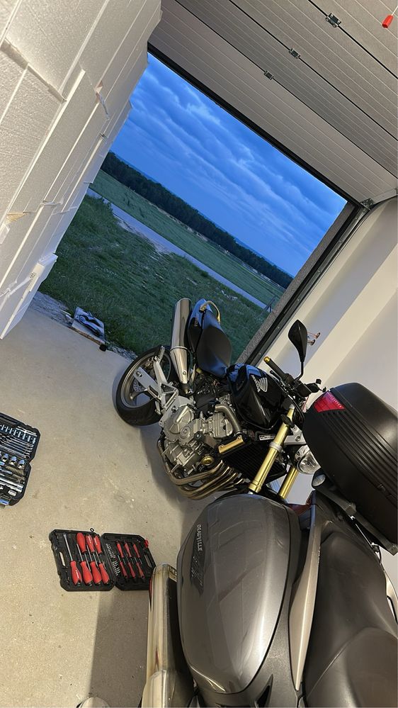 Honda hornet 600