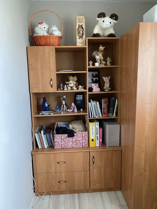 Meble do pokoju plus biurko