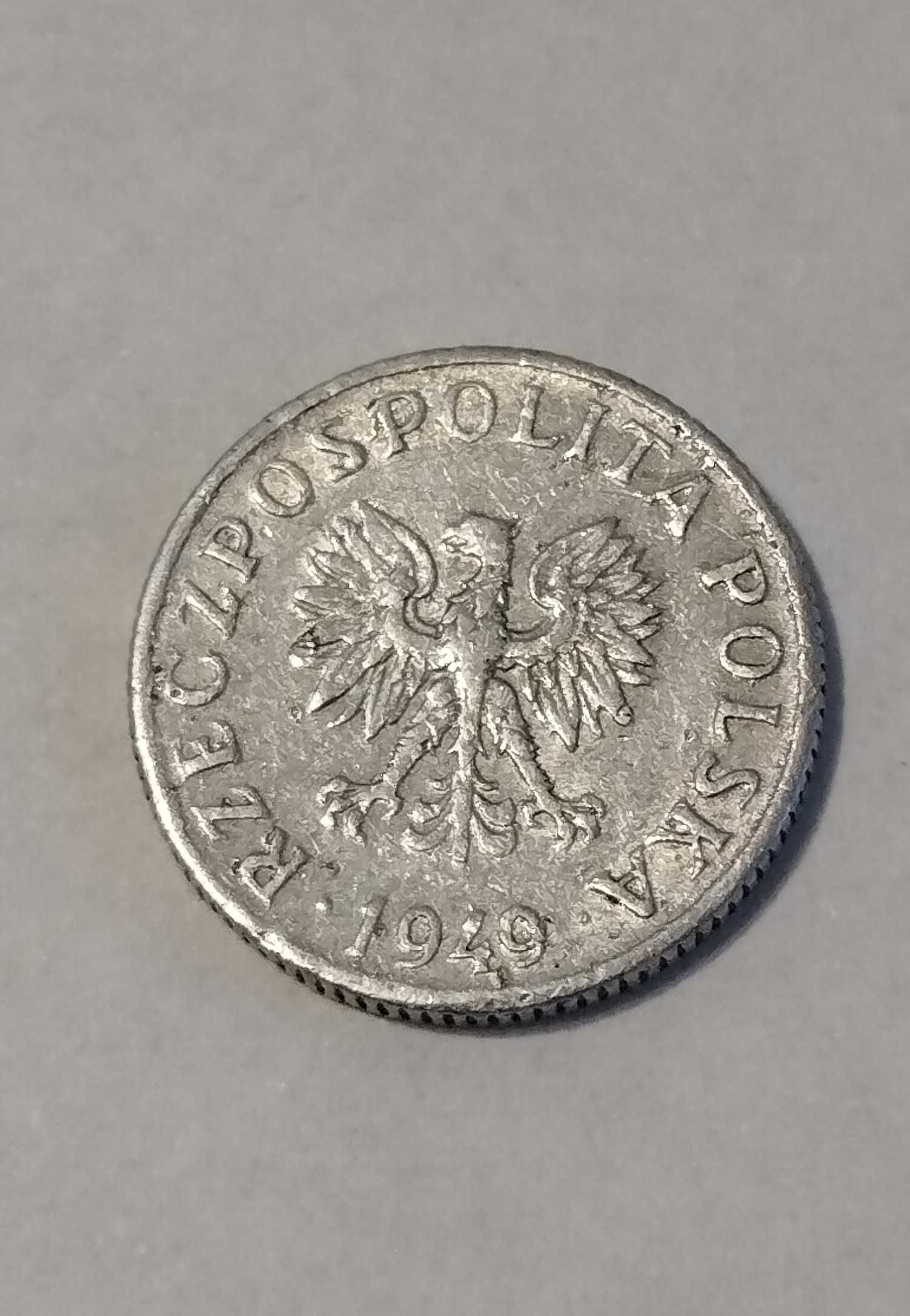Moneta 1 grosz polski z 1949 r.
