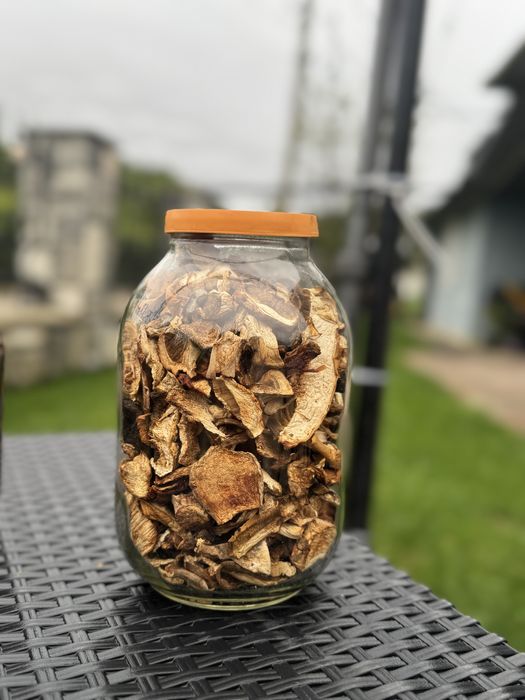 Гриби білі сушені та мариновані 2025 , опеньки