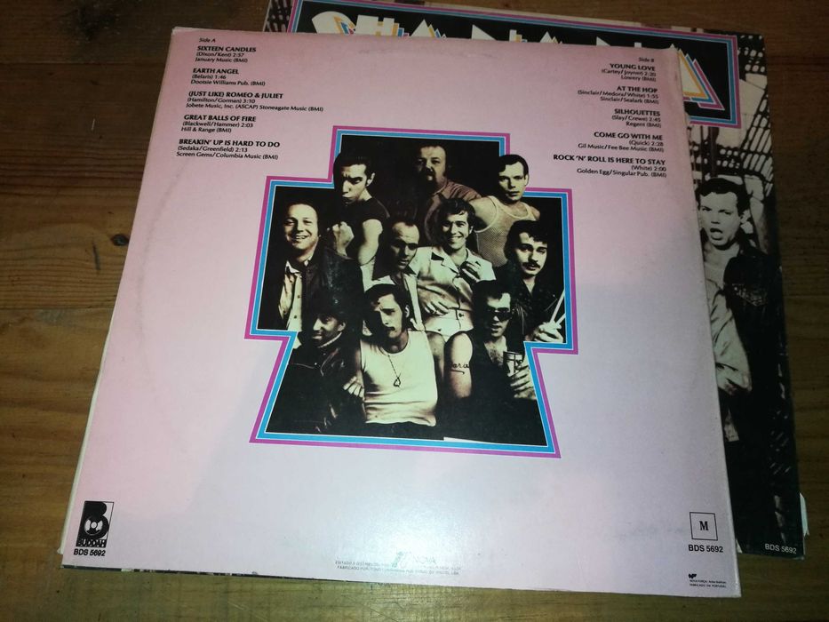 SHA NA   NA - Is Here To Say LP