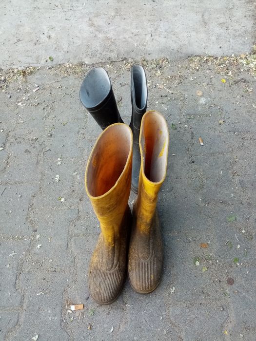 Kalosze ro. 43 dwie pary.