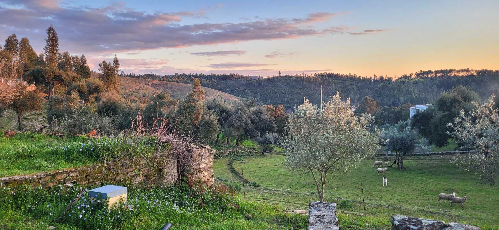 Casa em aldeia calma