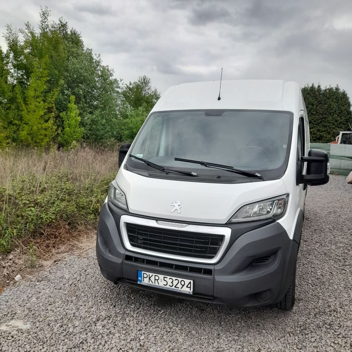 Busy na wynajem tanio