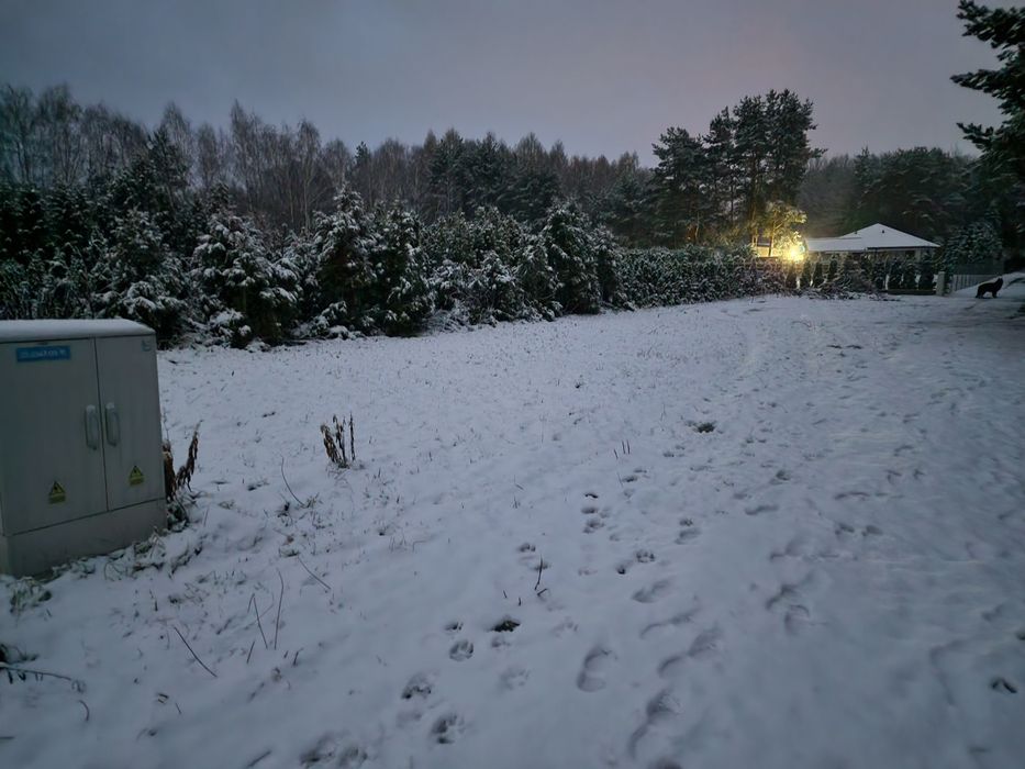 Sprzedaż działki z PnB Skierniewice otulina lasu