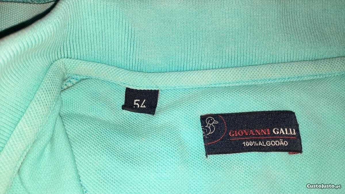 pólos variados L e XL