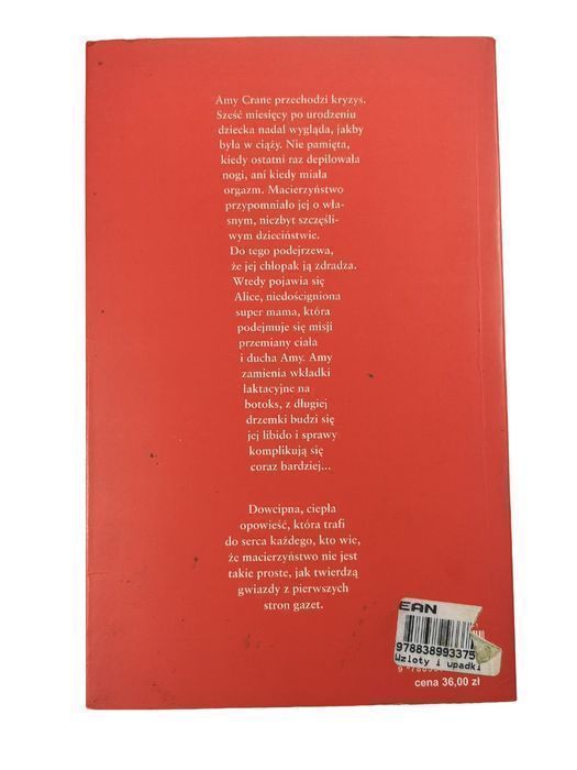 Wzloty I Upadki Super Mamy - Polly Williams