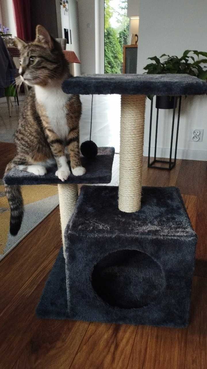 Drapak dla kota kotów domek wieża legowisko