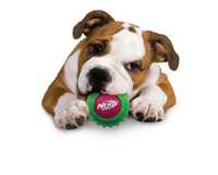 Іграшка для собак NerfDog Tennis Armor Ball 6,35 см в асортименті