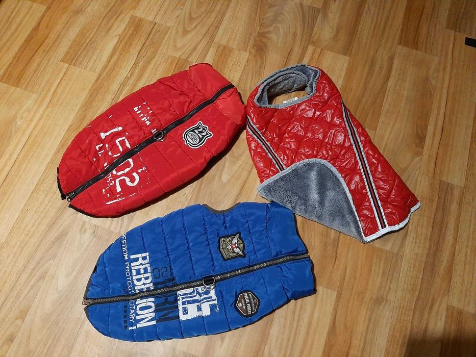 Ubranka Angielskie dla pieska