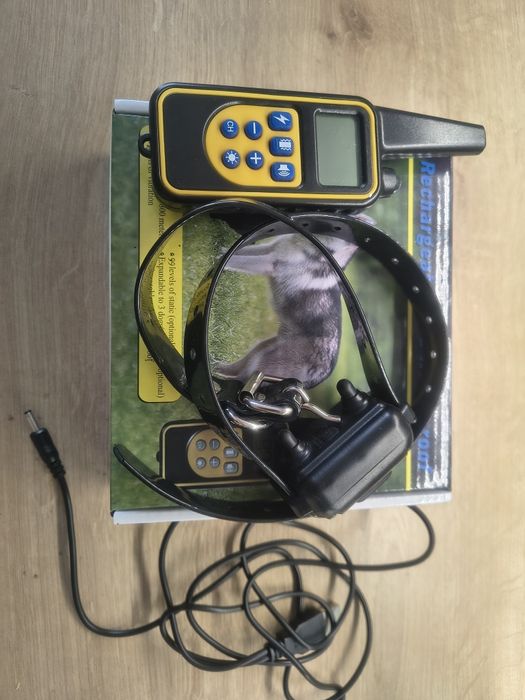 Obroża elektryczn do trenowania psów