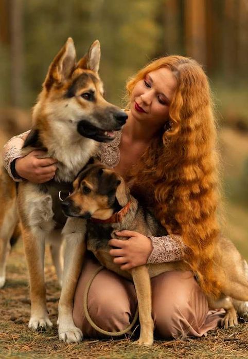 Behawiorysta/szkolenie psó