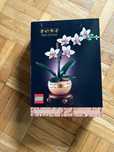LEGO Botanicals 10343 Mini Orchid mala orchidea