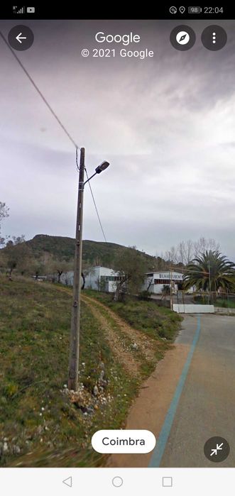 Terreno rústico com olival e pinhal