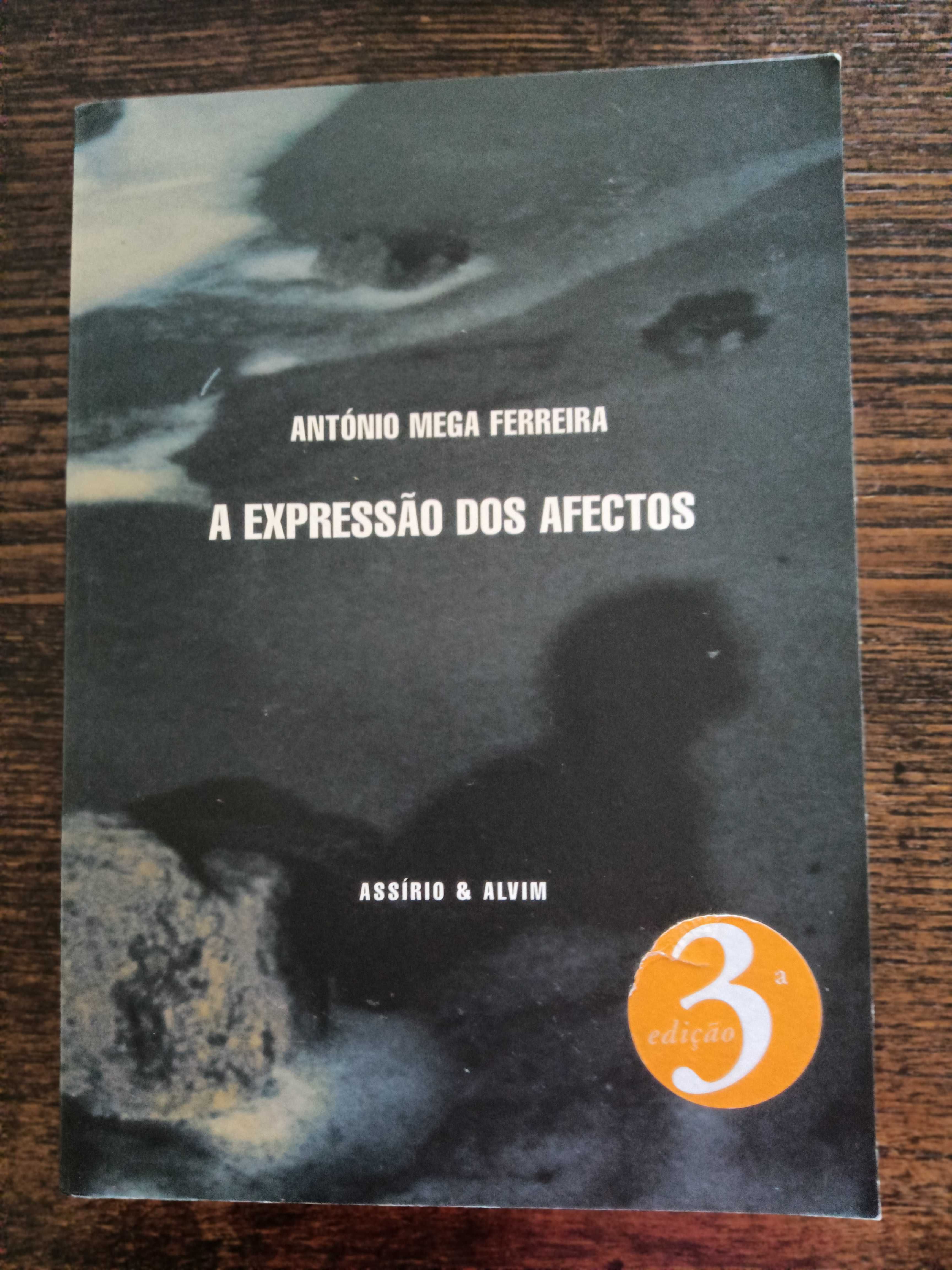 A Expressão dos Afectos de António Mega Ferreira