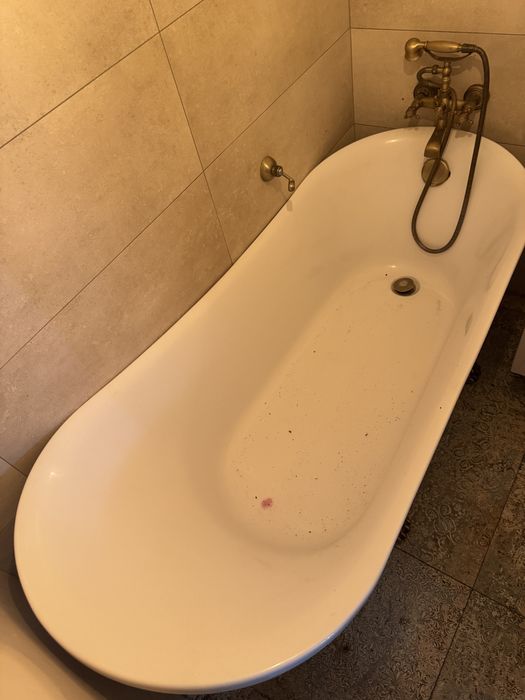 Wanna wolnostojąca na lwich nogach