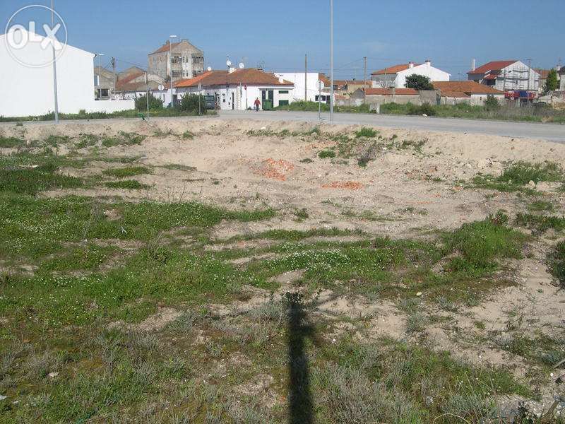 Terrenos em São Jacinto, Aveiro