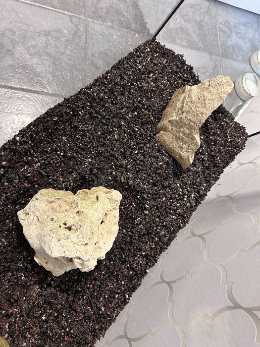 Akwarium szklane z wyposażeniem 72 l