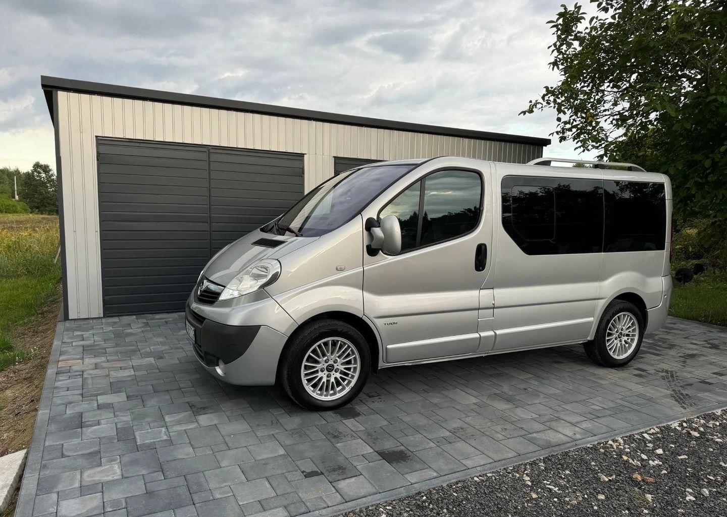 Opel vivaro 2009