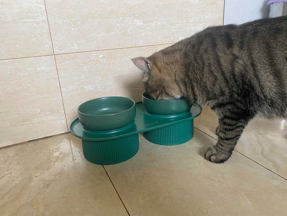 Миска подвійна для тварин на підставці, CLAWCOUNT