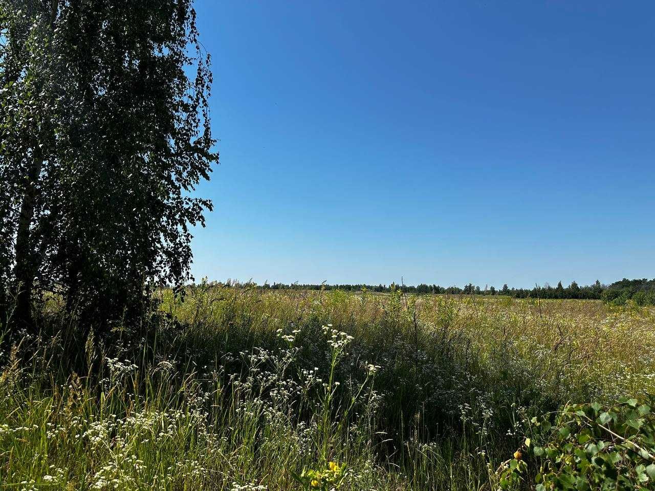 Продаж земельної ділянки 38,59 соток (ОСГ). 50 метрів від траси.ID:678