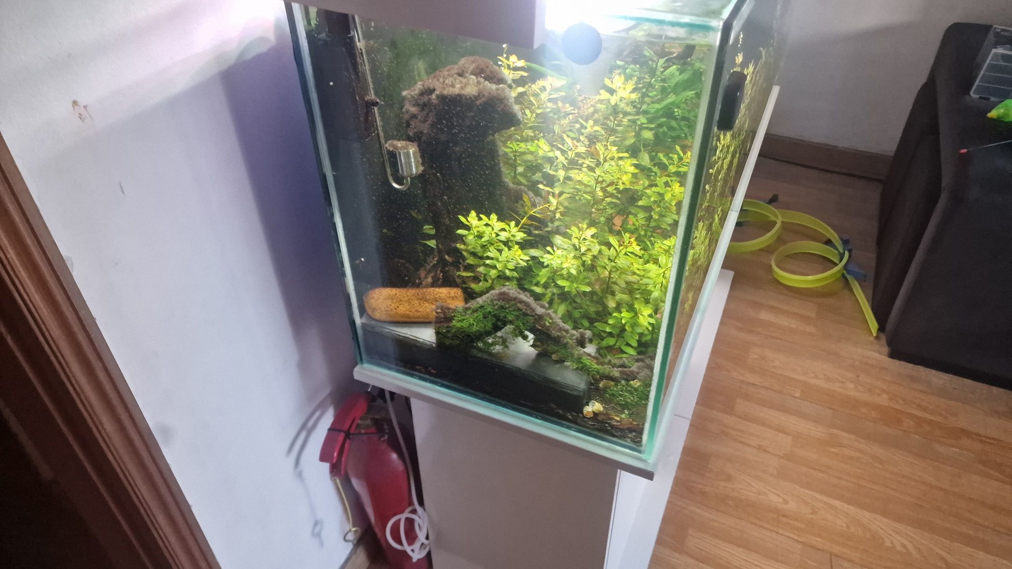 vendo aquario + movel e luzes
