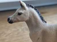 Schleich : Horse Club – Źrebię Rasy Hanoverian