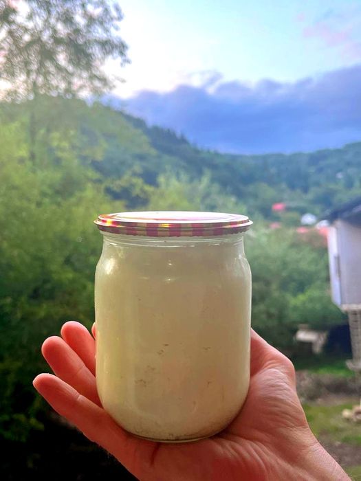 Бринза овеча домашня