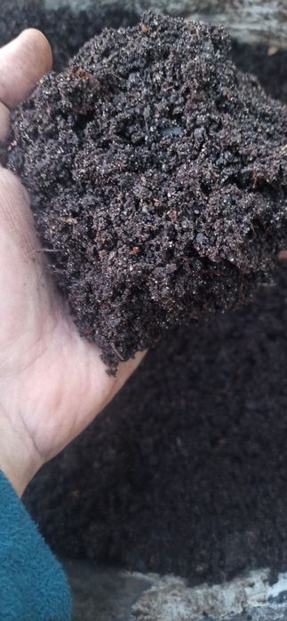 Kompost humus 4-5 letni Przesiany Złoto ogrodników
