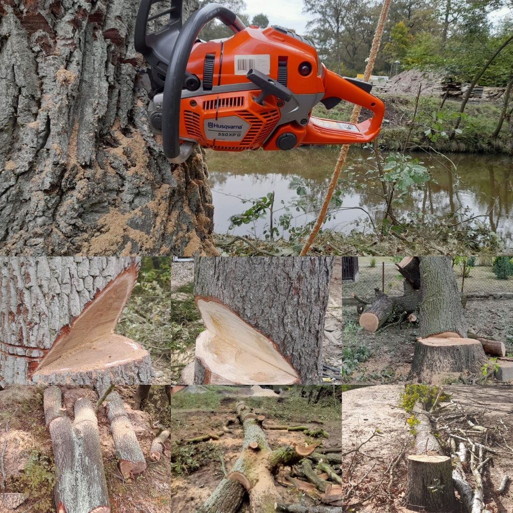 Alpinistyczna wycinka drzew/ wycinka drzew /podnośnik