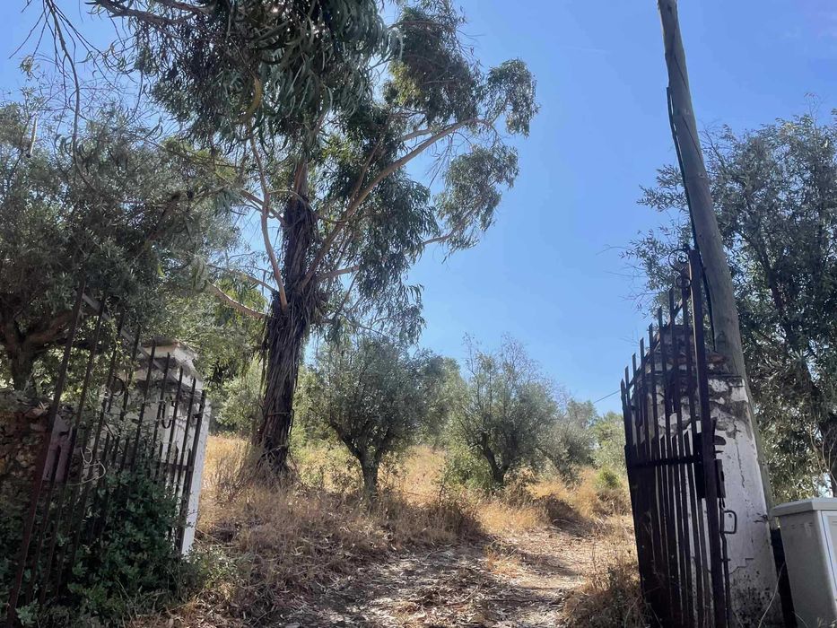 Monte/Herdade em pleno parque natural