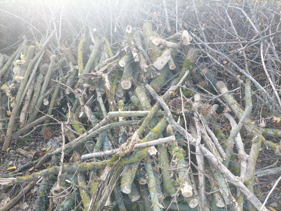 Дрова твердых пород дрова твердих порід зі своєї земельної ділянки