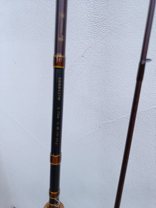Shimano beast master bx 270 M 10 do 30 gr