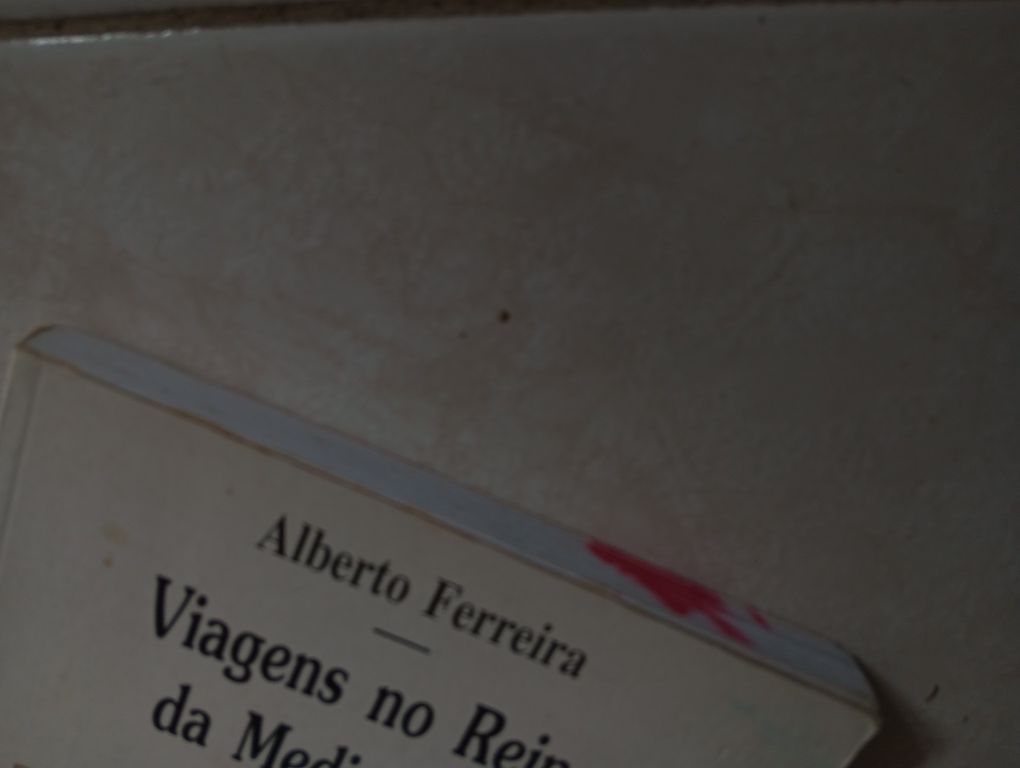 Viagens no reino da mediocracia, Alberto Ferreira.