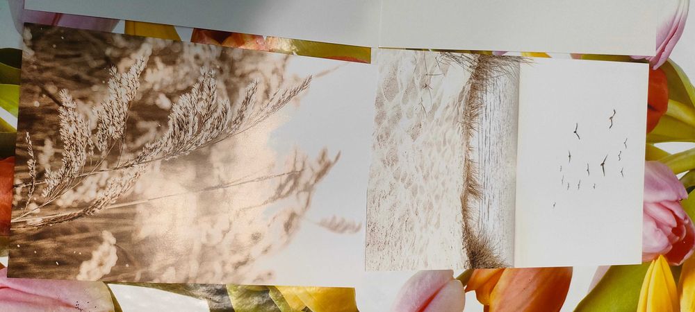 Zestaw plakatów Astoria Beige Sonnenuntergang