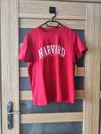 Koszulka t-shirt Harvard University L