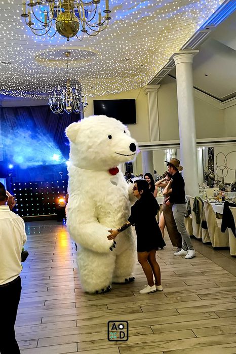 VideoBudka360, Biały Miś, Napis LOVE, FotoBudka360,DJ, Oprawa Muzyczna